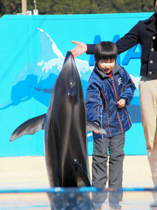 20100103_1131shuusei.jpg