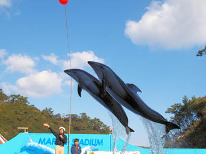 20100103_1140shuusei.jpg