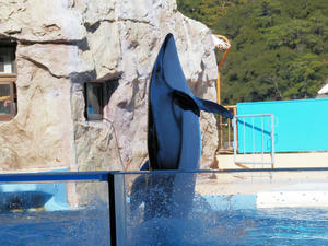 20100103_1156shuusei.jpg
