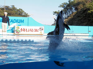 20100103_1167shuusei.jpg