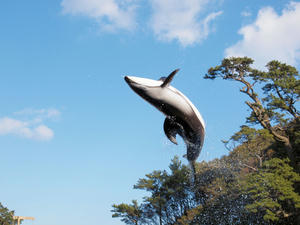 20100103_1184shuusei.jpg