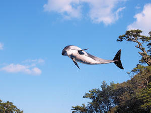 20100103_1185shuusei.jpg