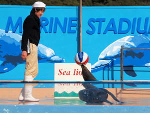 20100103_939shuusei.jpg