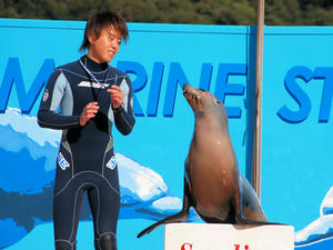 20100103_963shuusei.jpg