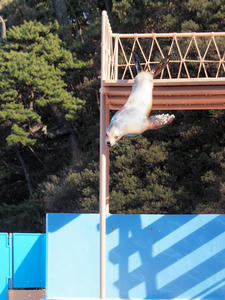20100103_969shuusei.jpg