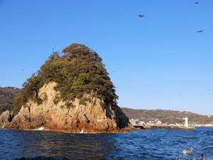 20100103_1417shuusei.jpg