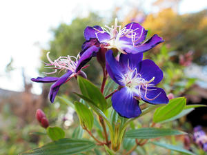 20100103_94shuusei.jpg