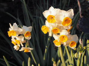 20100103_59shuusei.jpg
