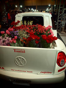 20100117_513shuusei.jpg