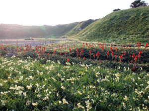 20100103_157shuusei.jpg
