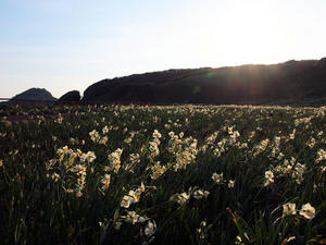 20100103_161shuusei.jpg