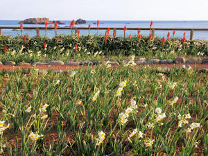 20100103_171shuusei.jpg