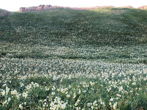 20100103_179shuusei.jpg