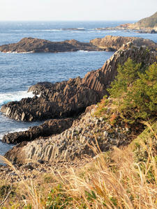 20100103_191shuusei.jpg