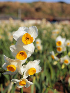 20100103_227shuusei.jpg