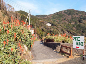 20100103_240shuusei.jpg