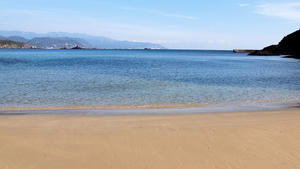 20100103_238shuusei.jpg