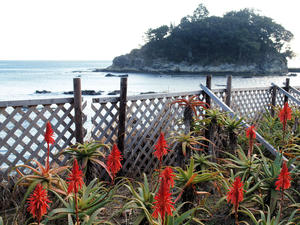 20100103_247shuusei.jpg
