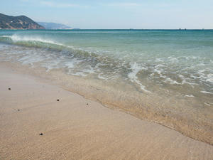 20100103_258shuusei.jpg