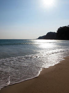 20100103_264shuusei.jpg