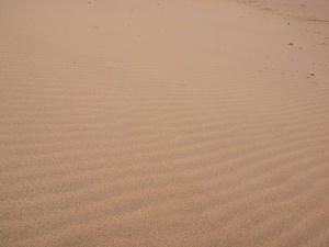 20100103_267shuusei.jpg