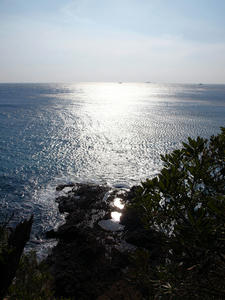 20100103_295shuusei.jpg