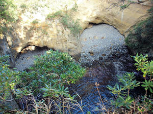 20100103_296shuusei.jpg