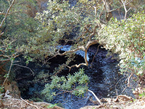 20100103_300shuusei.jpg