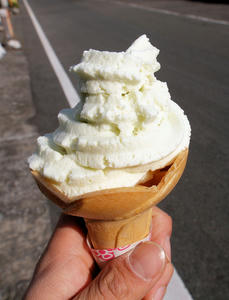 20100103_317shuusei.jpg