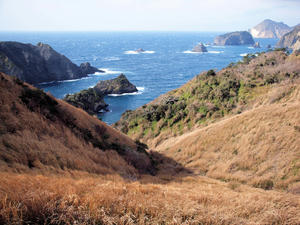 20100103_354shuusei.jpg