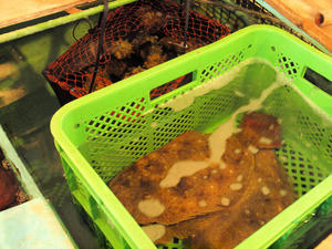 20100103_375shuusei.jpg