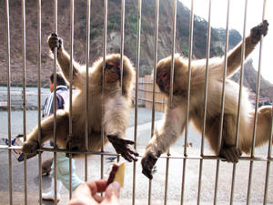 20100103_401shuusei.jpg