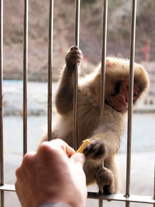 20100103_435shuusei.jpg