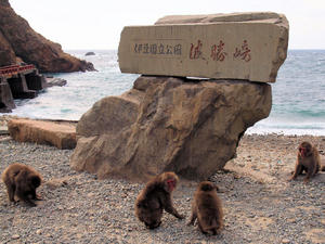 20100103_456shuusei.jpg