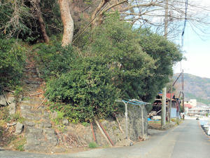 20100103_472shuusei.jpg