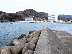 20100103_519shuusei.jpg