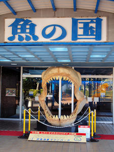 20100126_4shuusei.jpg