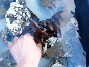 20100126_9shuusei.jpg