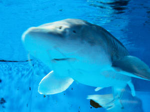 20100126_29shuusei.jpg