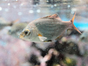 20100126_31shuusei.jpg