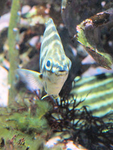 20100126_34shuusei.jpg