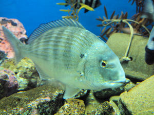 20100126_79shuusei.jpg