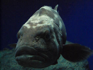 20100126_138shuusei.jpg