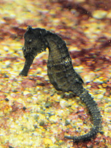 20100126_157shuusei.jpg