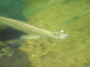 20100126_158shuusei.jpg