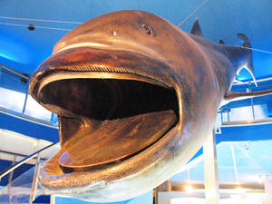 20100126_217shuusei.jpg