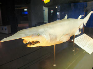 20100126_232shuusei.jpg