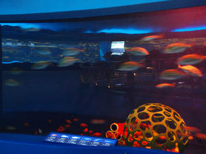 20100126_189shuusei.jpg