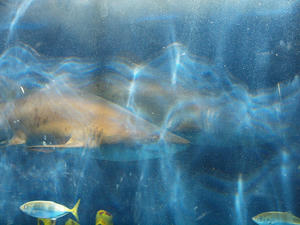 20100126_199shuusei.jpg