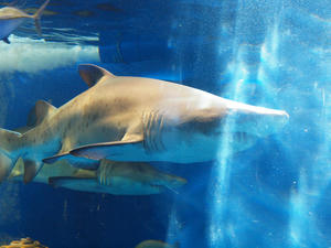 20100126_203shuusei.jpg